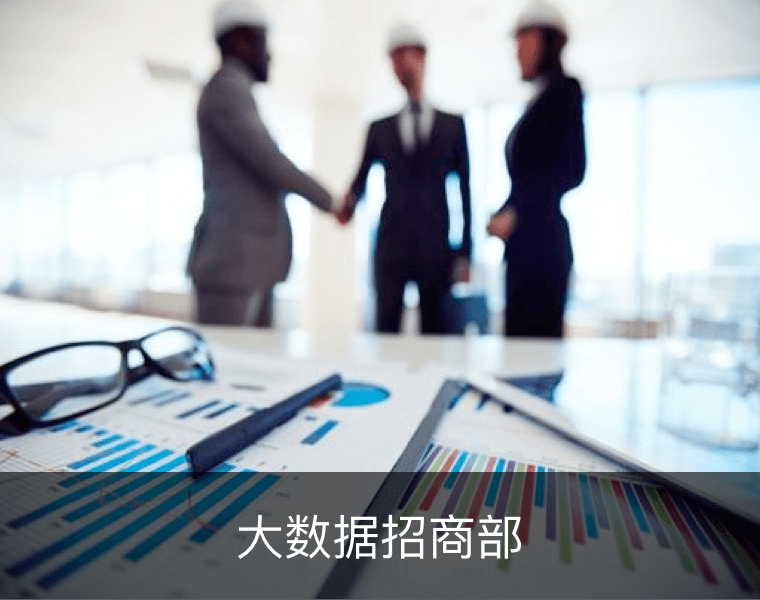 大数据招商、产业链、委托招商